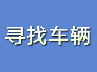 秦安寻找车辆