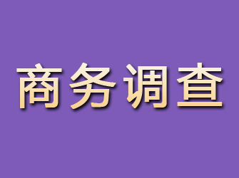 秦安商务调查