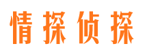 秦安市侦探公司